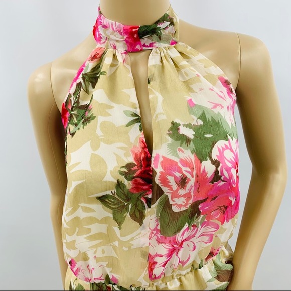 Walter Baker Cream Pink Floral Halter Top - Picture 4 of 12